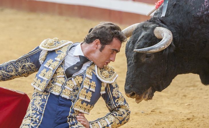 Los confinamientos han salvado la vida a 120 toros en España