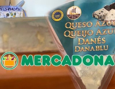 Compra queso azul en Mercadona y es tan azul que tiene hasta moho