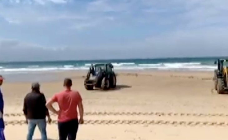 La esterilización de la playa con lejía puede destruir todo el ecosistema de la zona