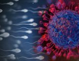 Investigadores chinos encuentran coronavirus en el semen