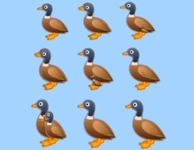 Duck Challenge: ¿Cuántos patos ves en la imagen? El reto viral que sacude las redes