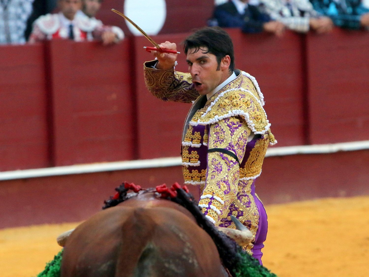 Cayetano Rivera llama a la revolución contra el Gobierno por cuestionar que la tauromaquia sea cultura