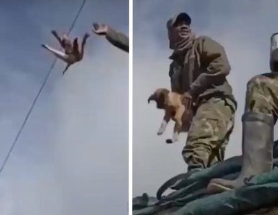 Un militar se graba lanzando un perro al vacío y riéndose cuando muere al golpearse