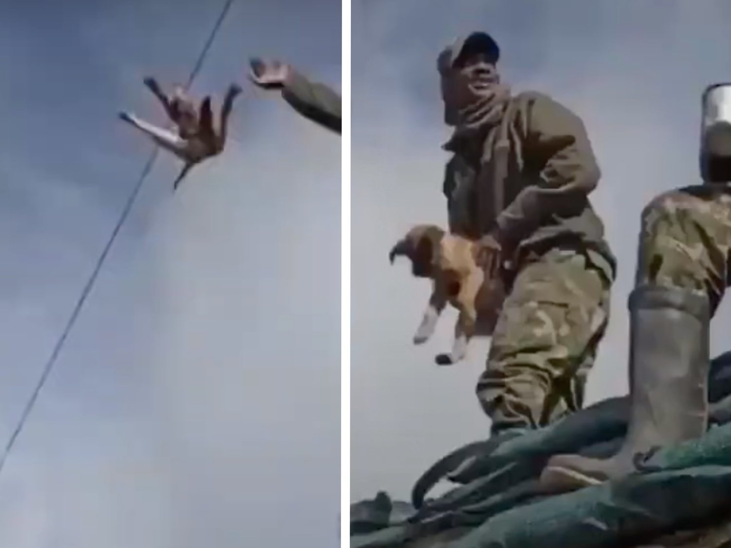 Un militar se graba lanzando un perro al vacío y riéndose cuando muere al golpearse