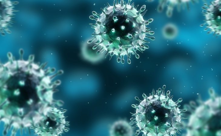 Toda la comunidad científica pide extremar las precauciones ante la posibilidad de que el virus consiga la transmisión entre personas