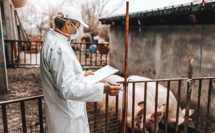 La aparición de esta cepa preocupa a los epidemiólogos