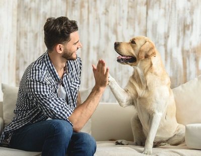 ¿Qué edad tiene mi perro en años humanos? Hallan una nueva fórmula mejor que multiplicar por siete