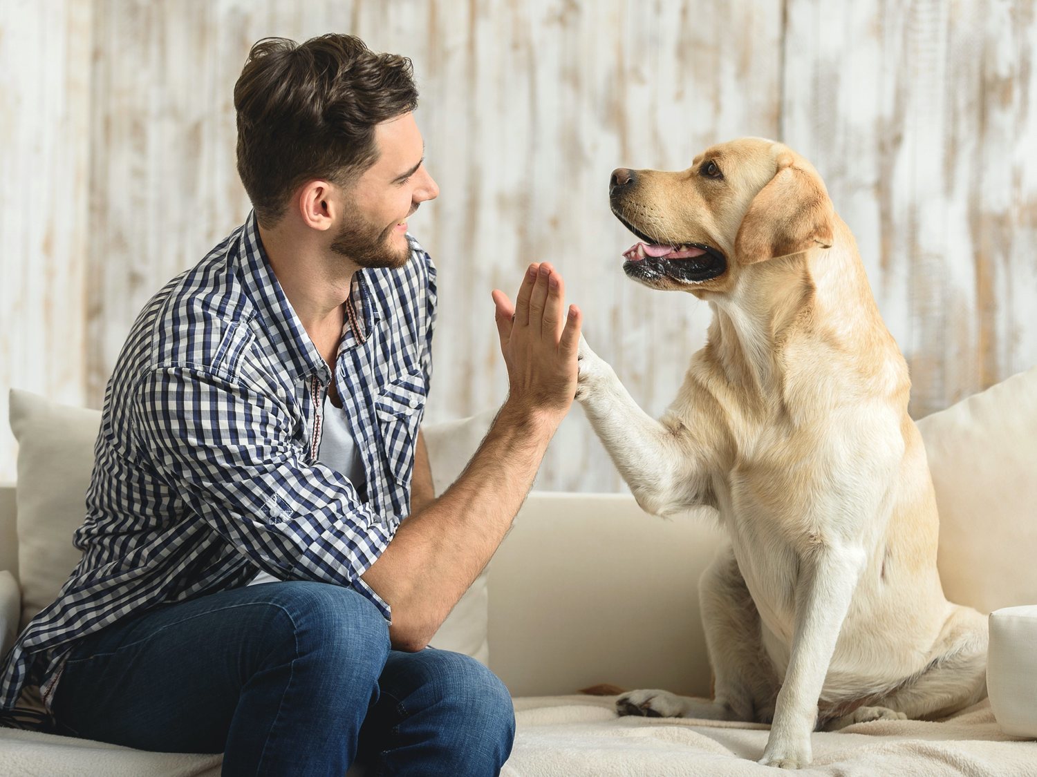 ¿Qué edad tiene mi perro en años humanos? Hallan una nueva fórmula mejor que multiplicar por siete