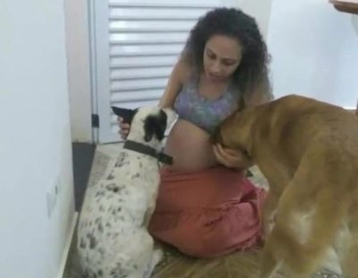 Un perro mata "por celos" a las gemelas recién nacidas de sus dueños
