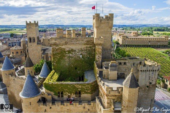 Castillo de  Olite