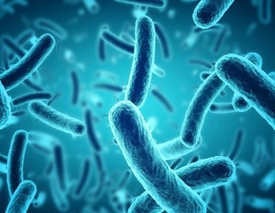 Un accidente en un laboratorio lleva a descubrir una rara bacteria que come metales