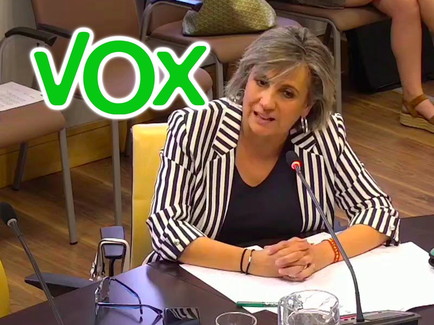 Una edil de VOX: "Los LGTBI no pueden ser considerados víctimas por apartarse de la mayoría"