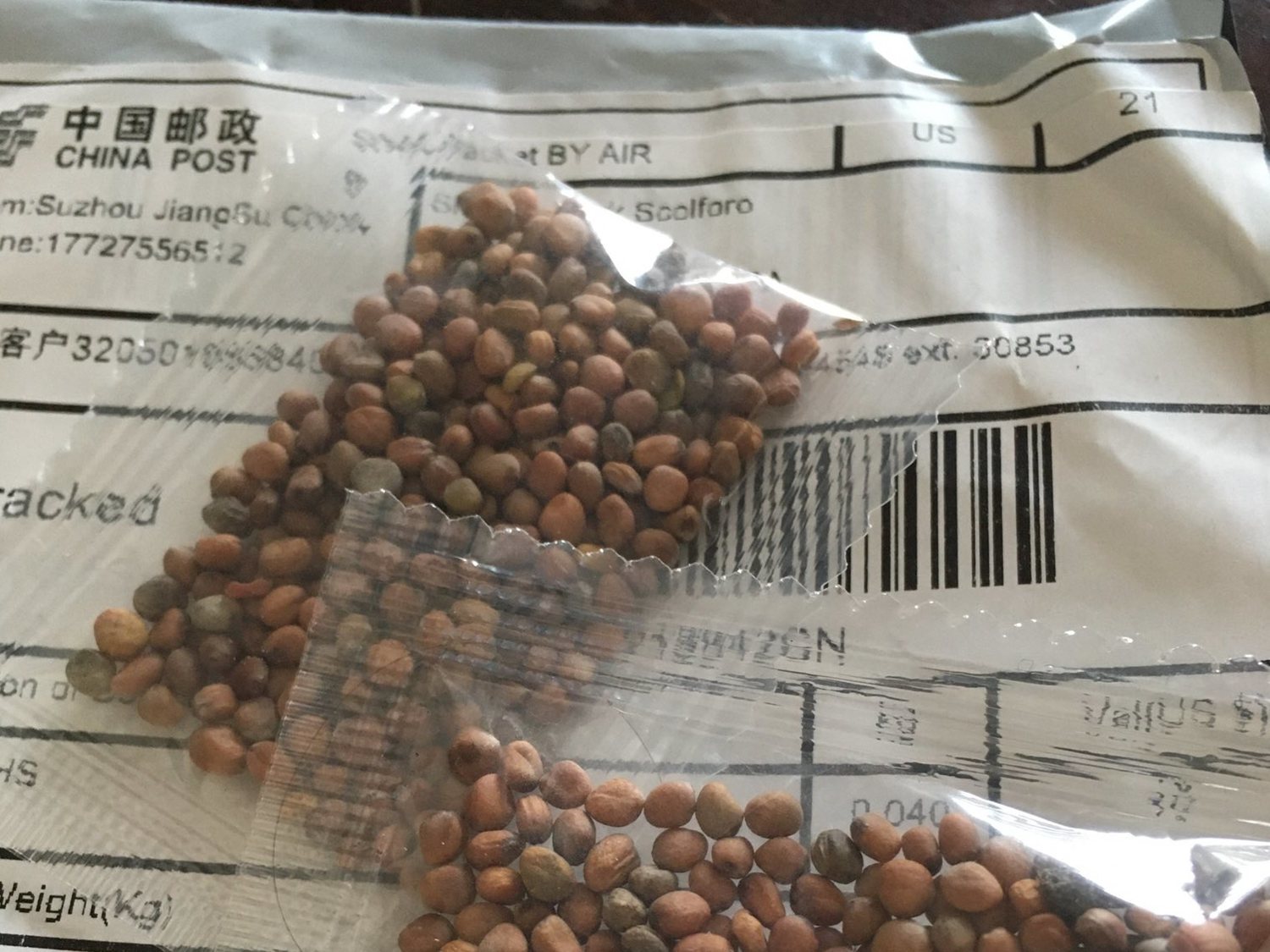Ciudadanos de EEUU reciben sospechosos paquetes de semillas desde China sin haberlas pedido