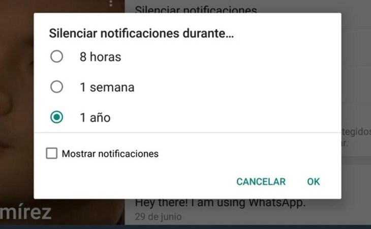 Cómo silenciar en WhatsApp