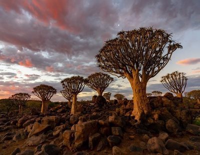 Parte de África podría quedar sepultada bajo el agua: un océano está surgiendo en el continente