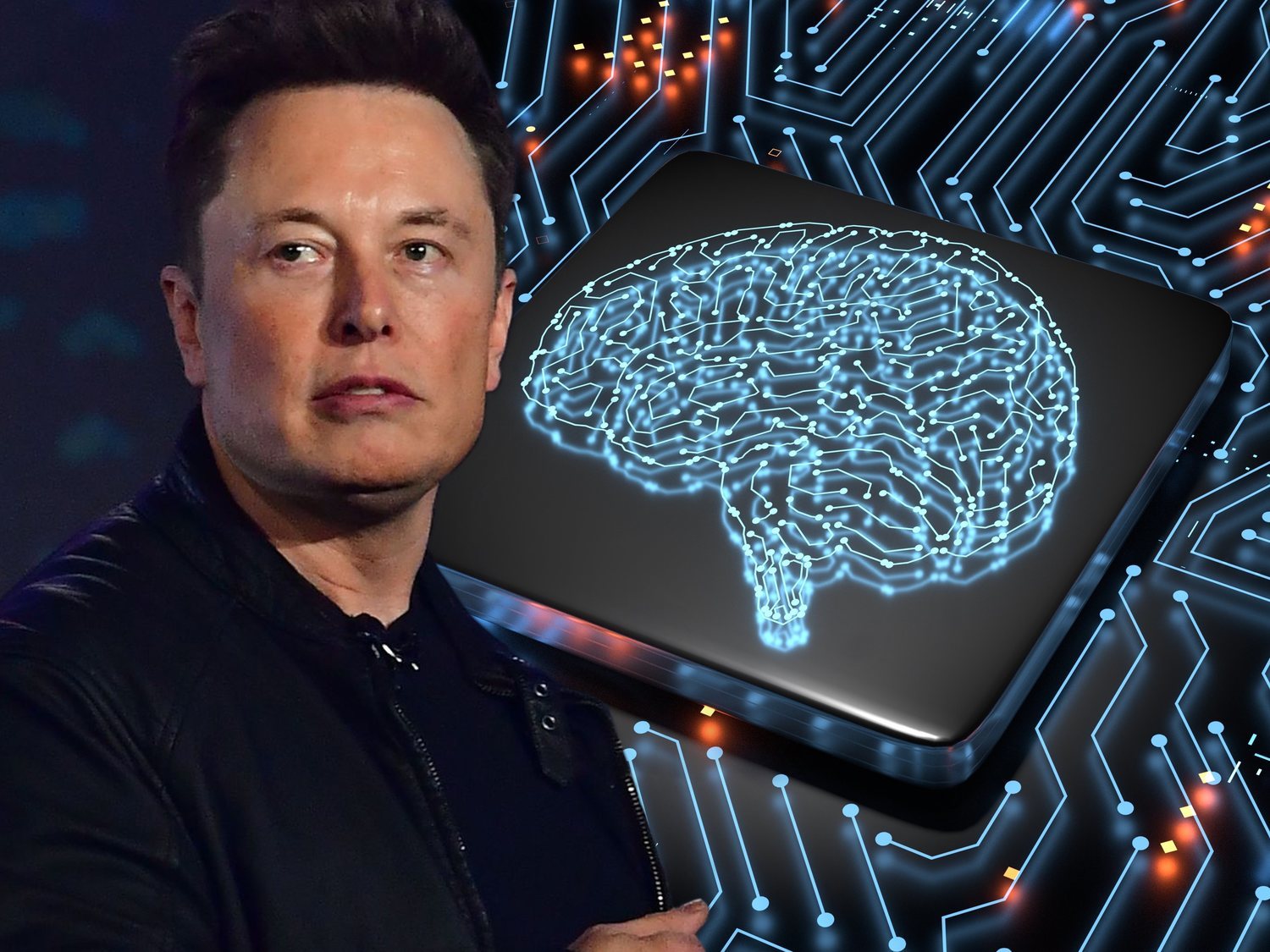 Elon Musk inserta un implante cerebral en un cerdo: "Será como un Fitbit pero dentro de tu cráneo"