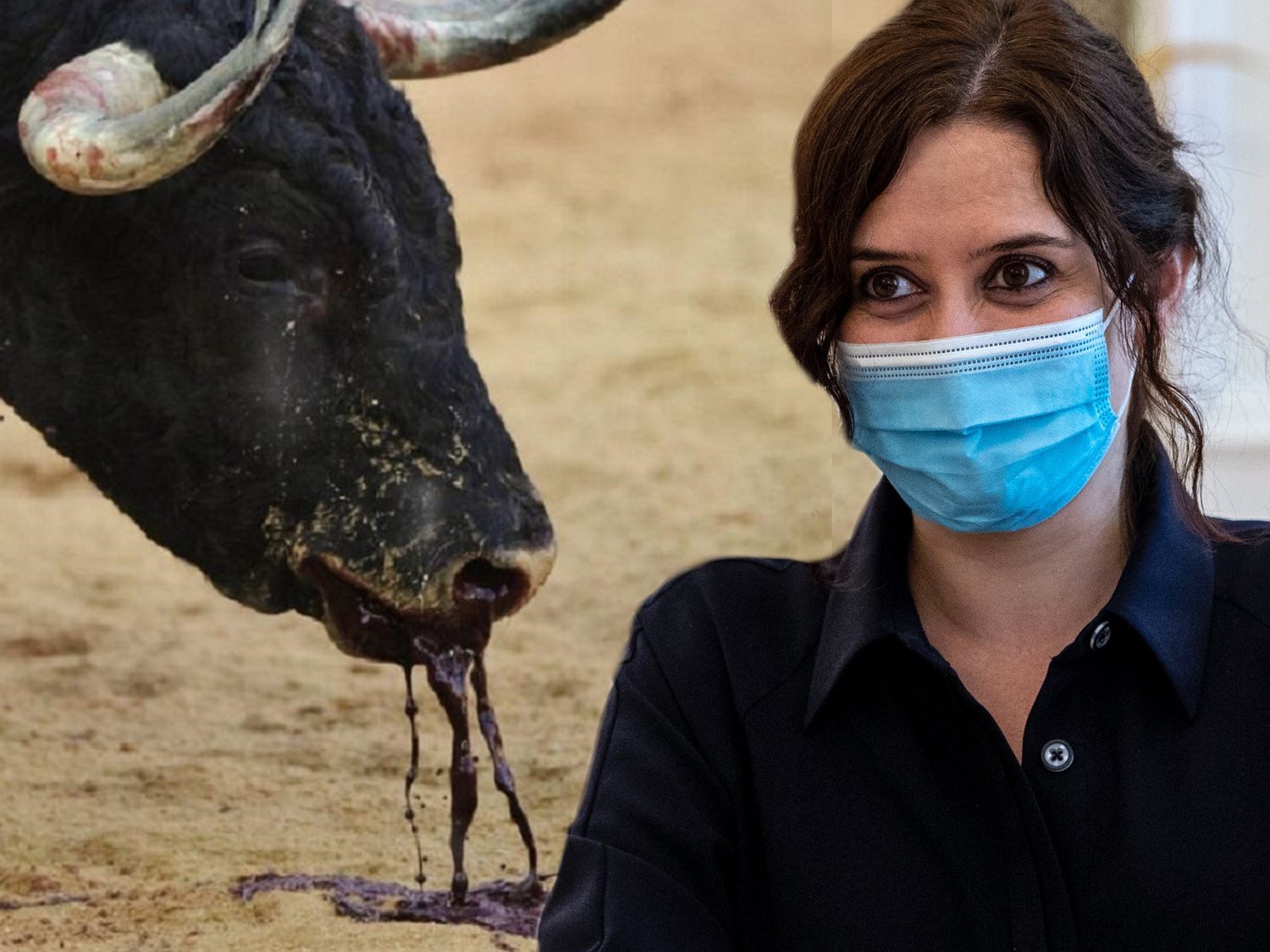 Ayuso carga contra los antitaurinos: "No defienden a los animales, quieren que todos seamos veganos"