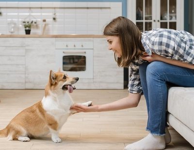 Todos los mensajes que intenta transmitirte tu perro, según cómo te está dando con su pata