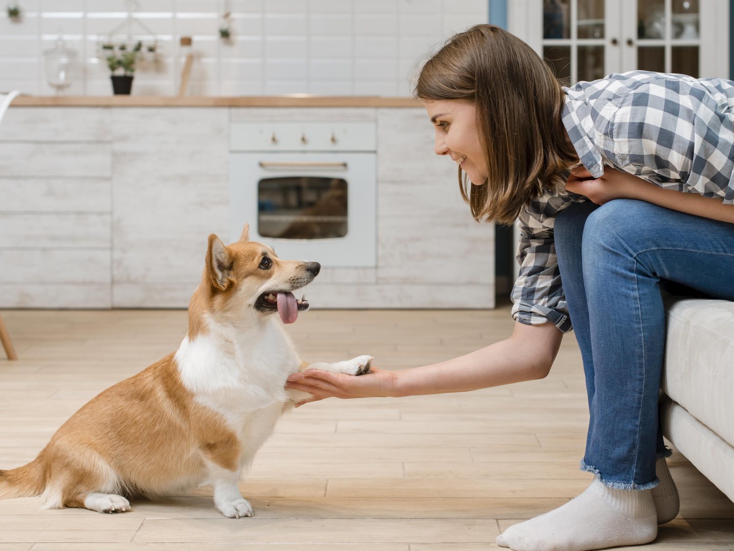 Todos los mensajes que intenta transmitirte tu perro, según cómo te está dando con su pata