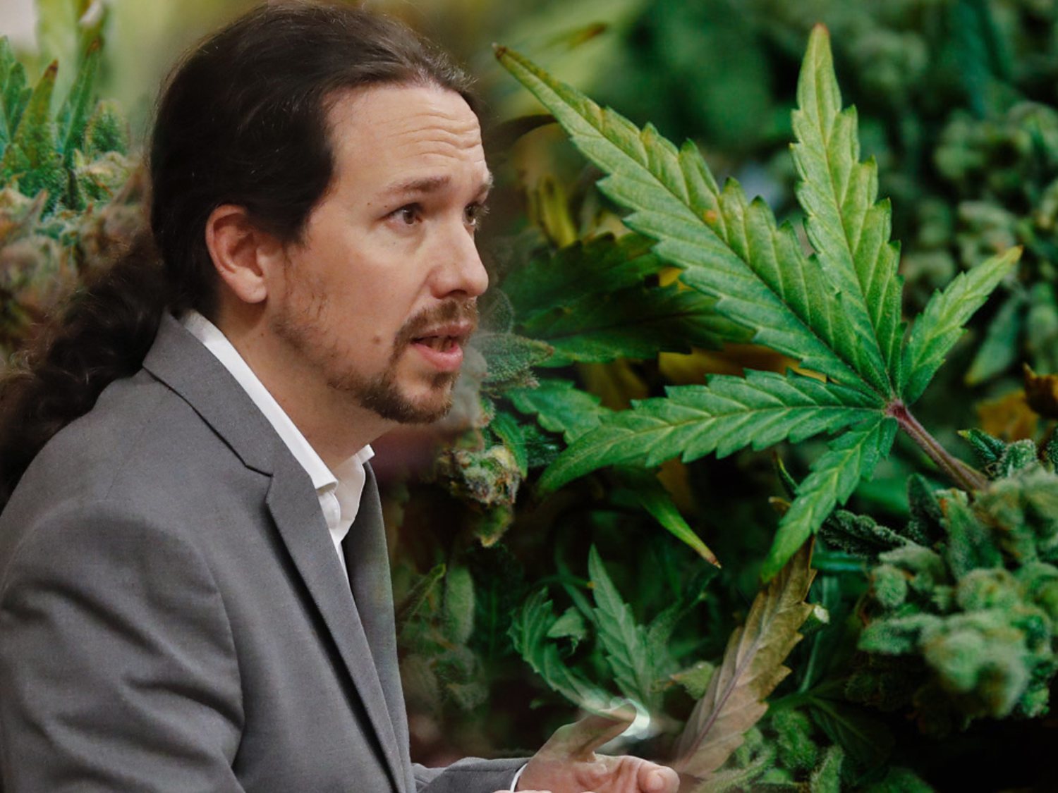 Podemos propone una regulación del cannabis en España que espera consensuar con el PSOE