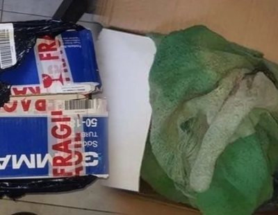 Compra una soldadora en una conocida tienda online y recibe una bolsa repleta de basura