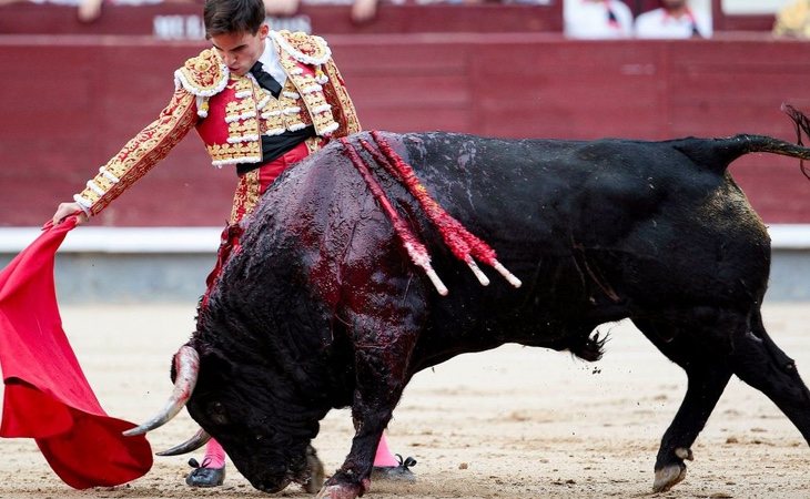 Europa vota en contra de las subvenciones a los toros