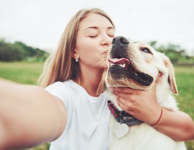 Así aconsejan los veterinarios desinfectar a los perros tras el paseo para evitar el coronavirus