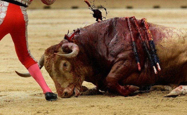 La Unesco excluye los toros de la lista de Patrimonio Cultural Inmaterial de la Humanidad