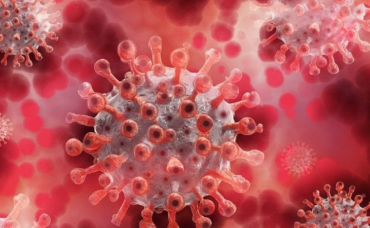 Existen varias cepas del coronavirus