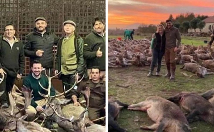 Los cazadores posan con los animales abatidos