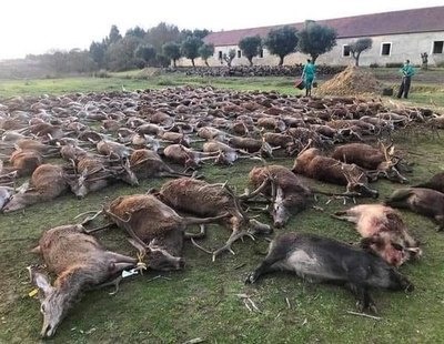 Indignación en Portugal por una montería en la que cazadores españoles abatieron a 540 animales