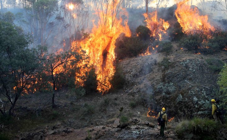 Los incendios de Australia provocaron una catástrofe medioambiental