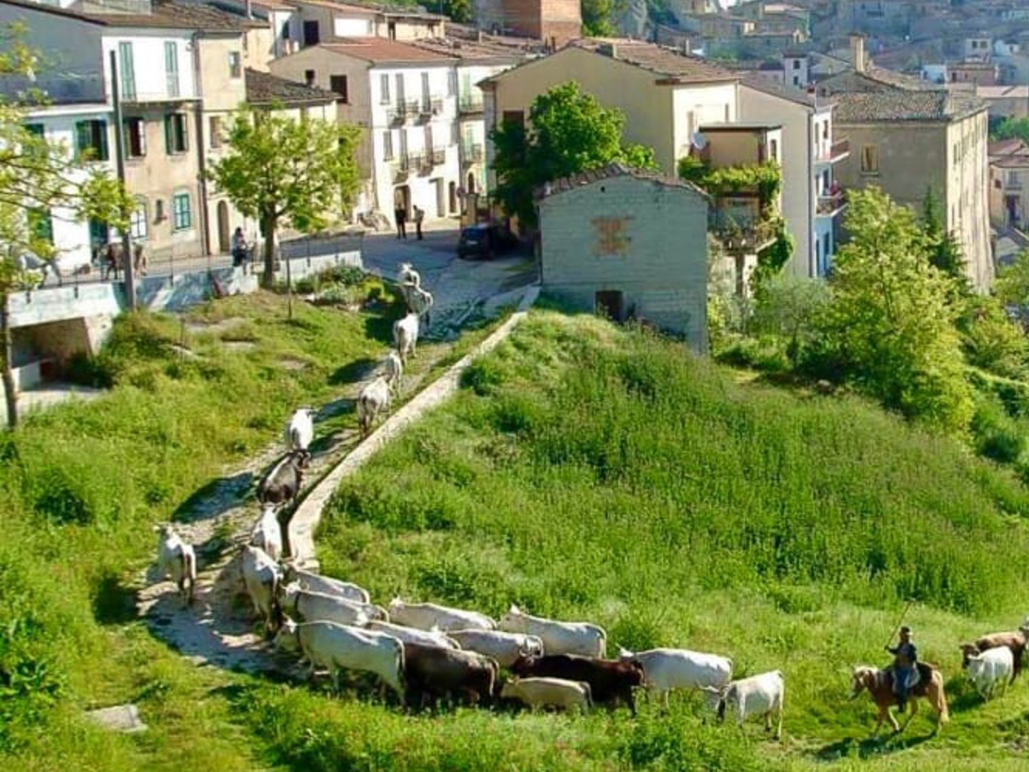Castropignano, el pueblo italiano que vende casas a un euro para recuperar habitantes