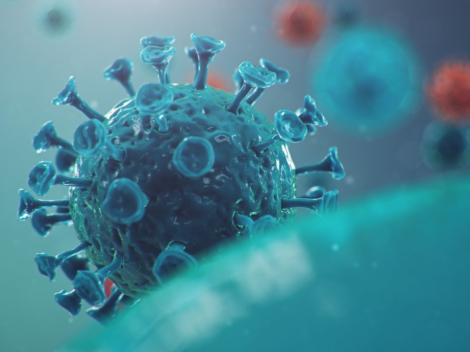 El futuro del coronavirus: ¿llegará a convertirse en un simple resfriado?