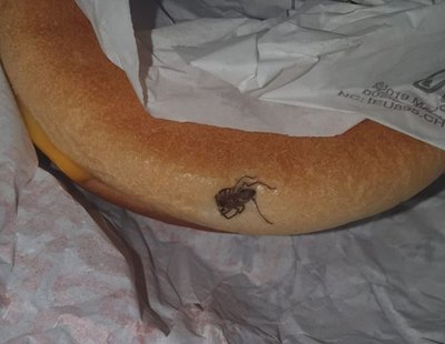 Una joven encuentra el cadáver de una araña dentro de una hamburguesa de Mcdonald's
