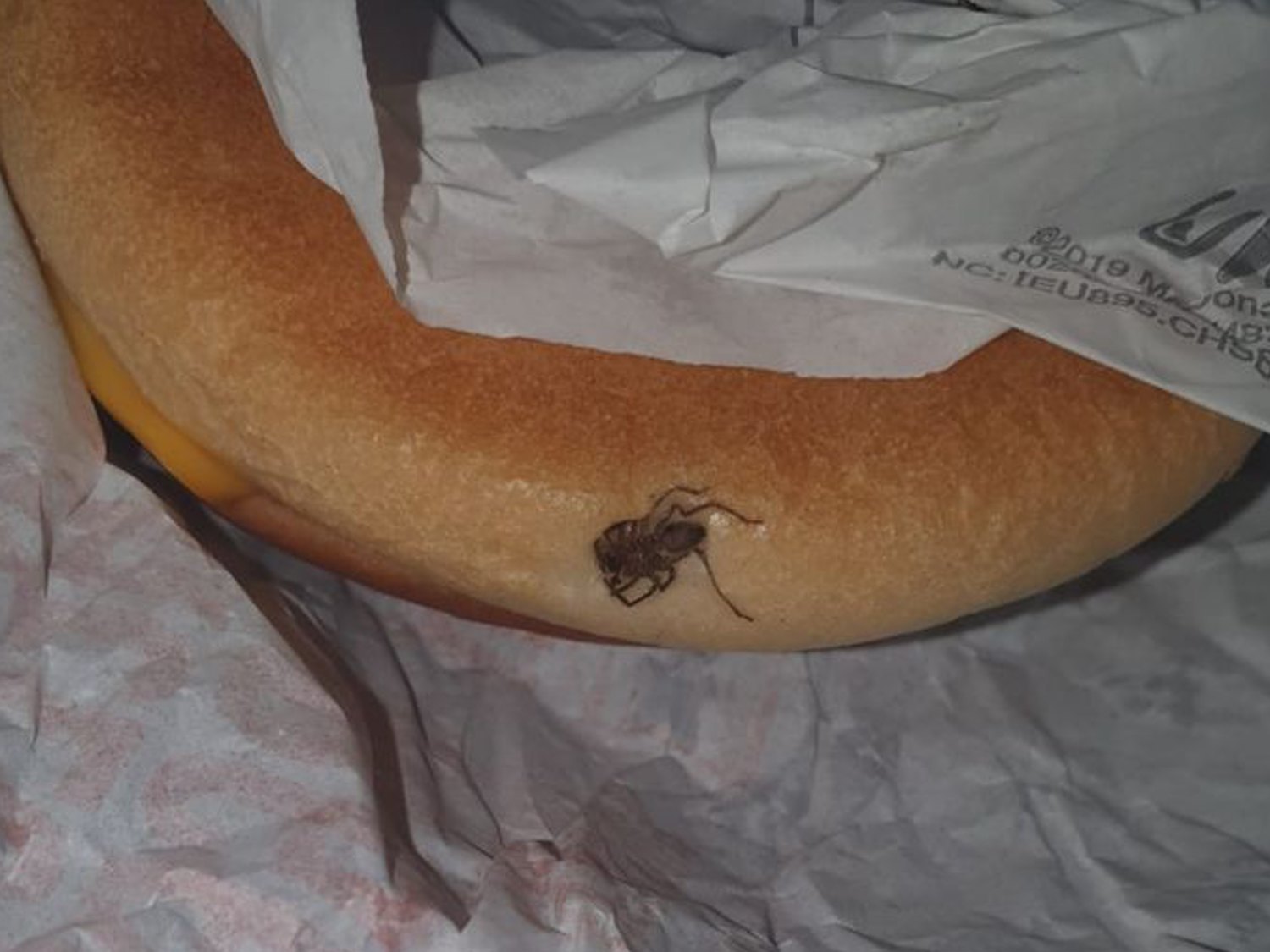 Una joven encuentra el cadáver de una araña dentro de una hamburguesa de Mcdonald's