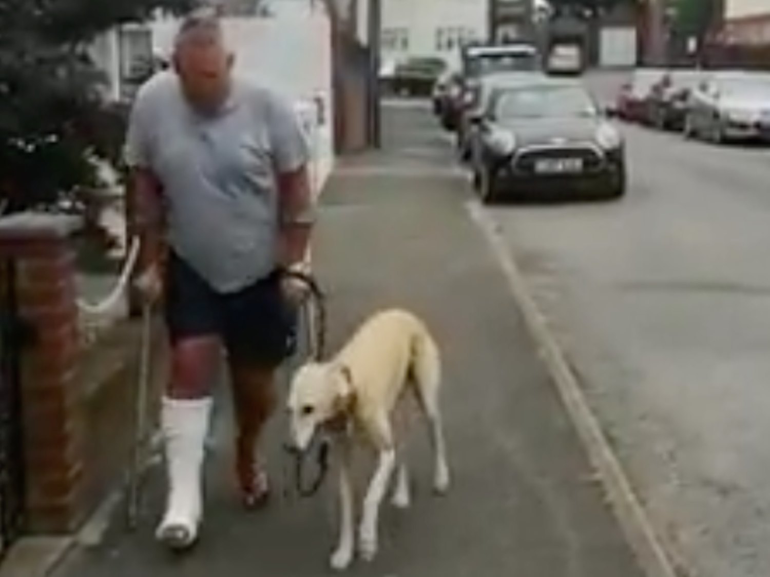 Se rompe una pierna y su perro finge una lesión para solidarizarse con él