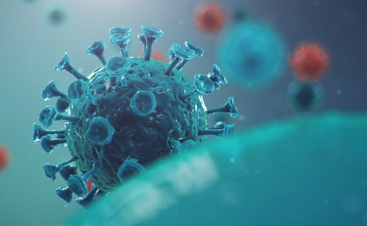 La OMS ve poco creíble que el coronavirus haya salido de un laboratorio