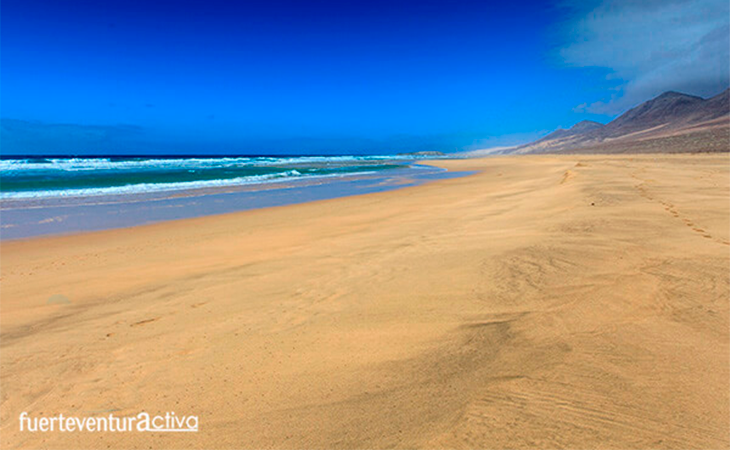 Fotografía: Fuerteventura Activa