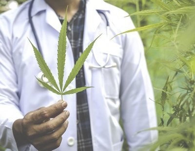 Las farmacias de Portugal empiezan a vender flores de cannabis con THC