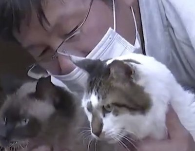 Este hombre lo dejó todo para cuidar de 41 gatos abandonados tras el desastre de Fukushima