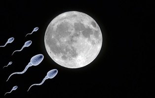 Proponen preservar en la Luna millones de muestras de esperma para asegurar la supervivencia humana