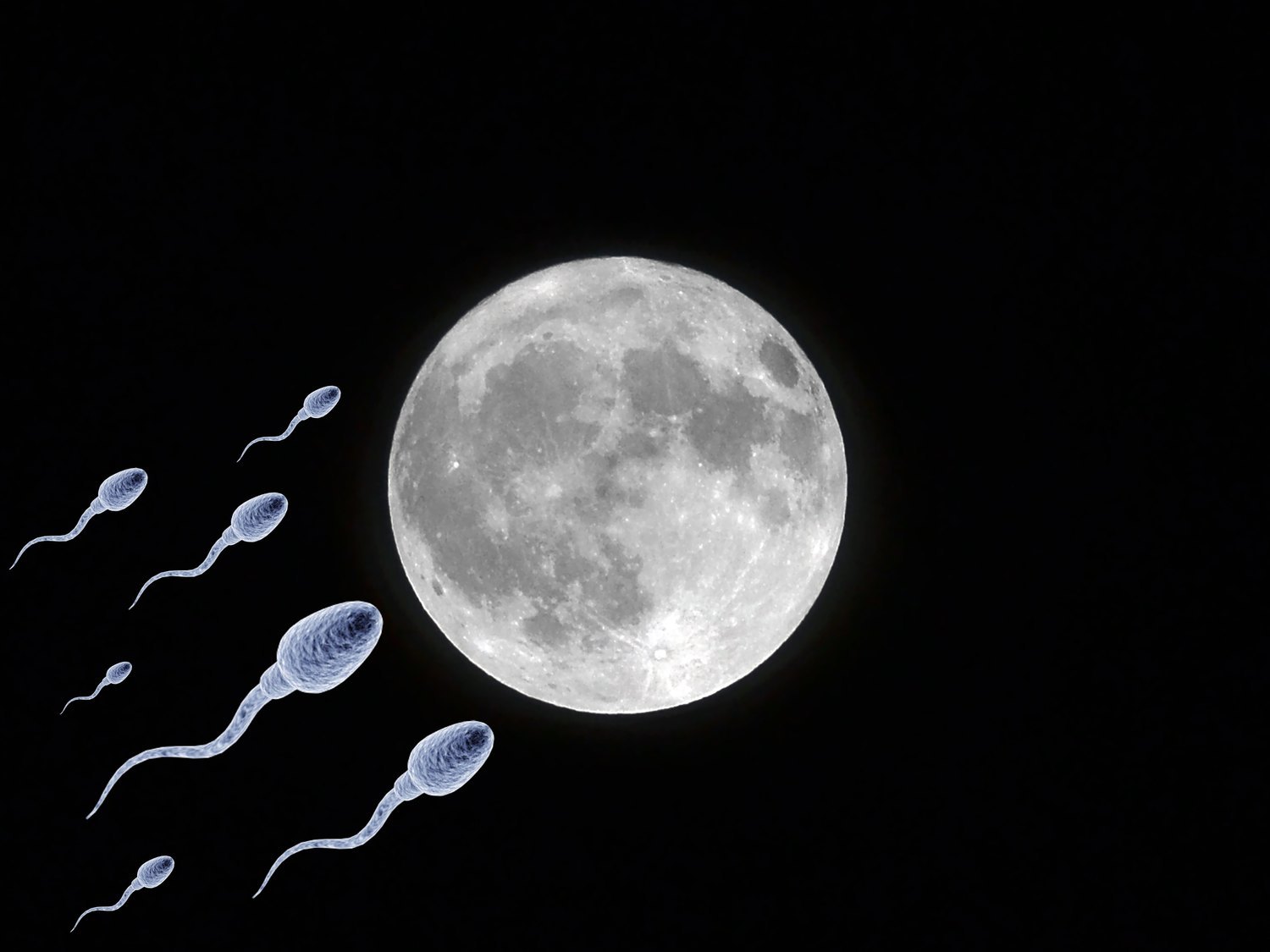 Proponen preservar en la Luna millones de muestras de esperma para asegurar la supervivencia humana
