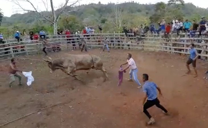 El vídeo fue difundido en redes