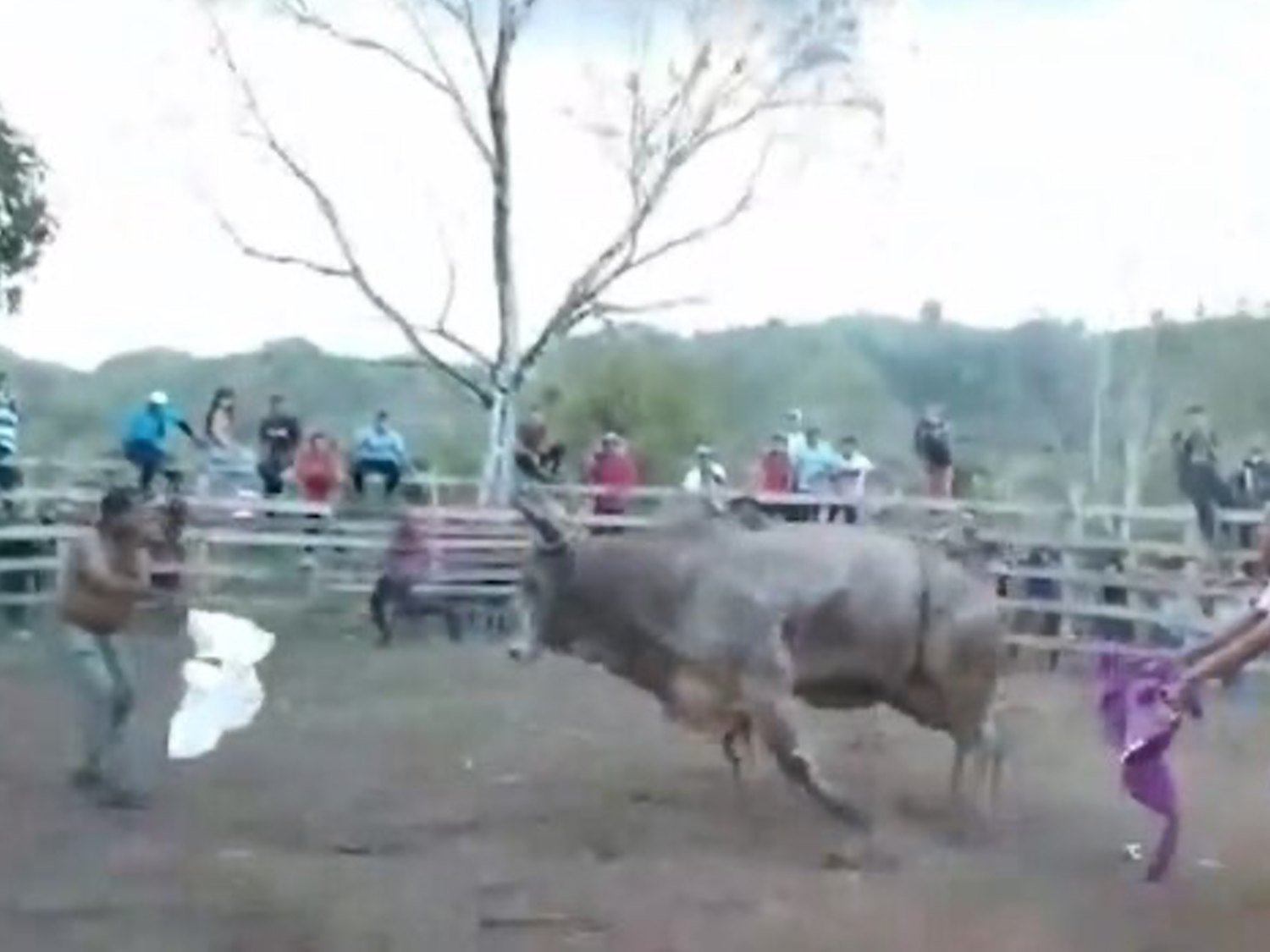 Muere corneado tras lidiar un toro con su camiseta en una corrida ilegal difundida en las redes