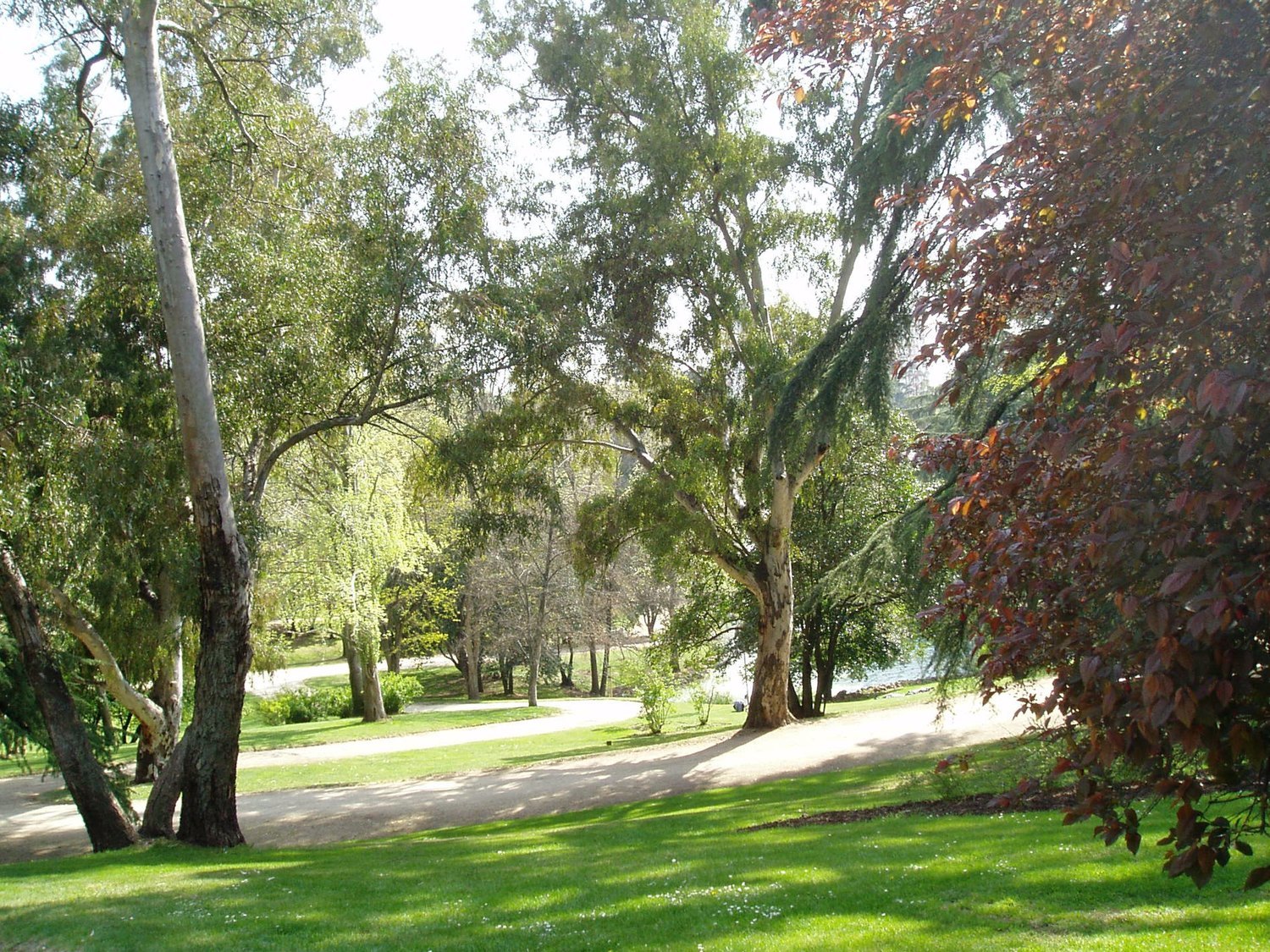 13 detenidos, cuatro menores, acusados de abusar de una menor en el Parque del Oeste