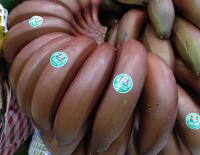 Llega a la península el plátano rojo con sabor a frambuesa que se cultiva en Canarias