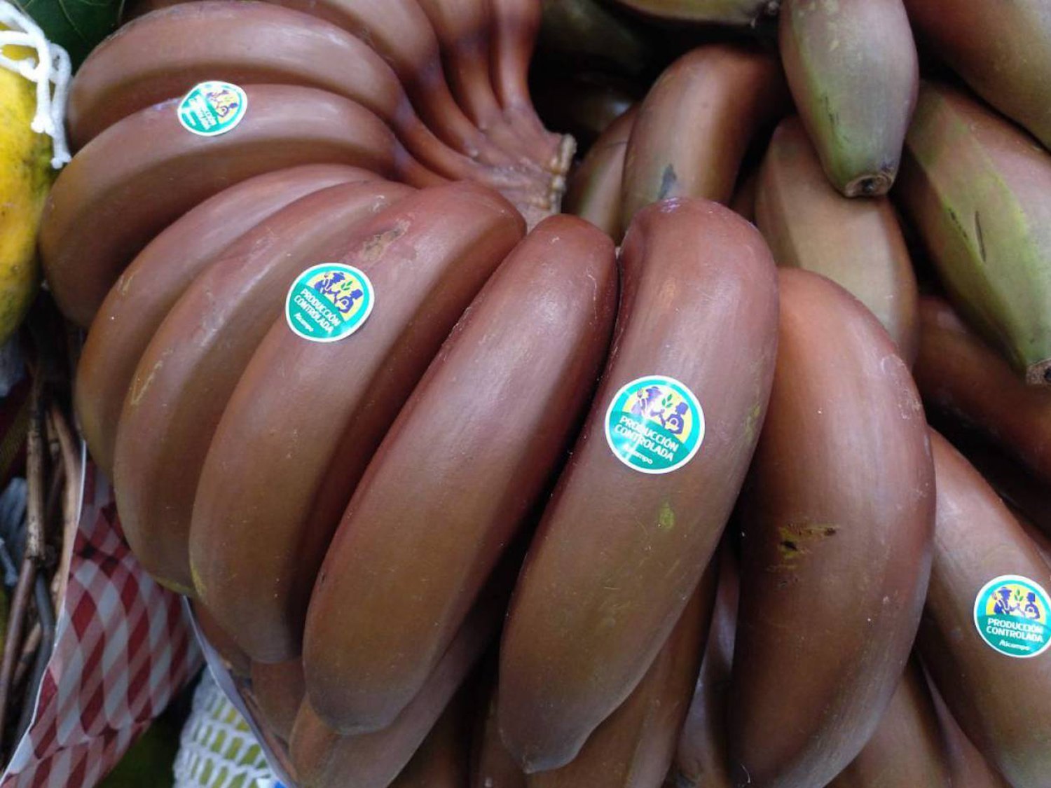 Llega a la península el plátano rojo con sabor a frambuesa que se cultiva en Canarias