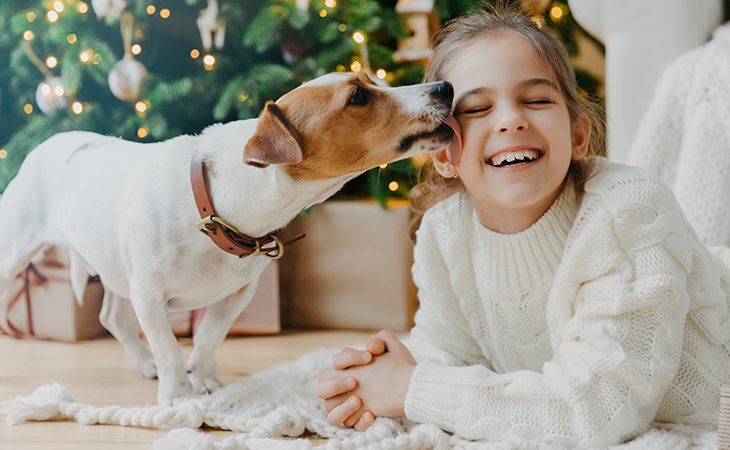 La lengua de los perros está llena de bacterias. Foto: Freepik