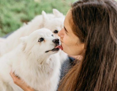 Las razones por las que no deberías dejar que tu perro te lama la cara